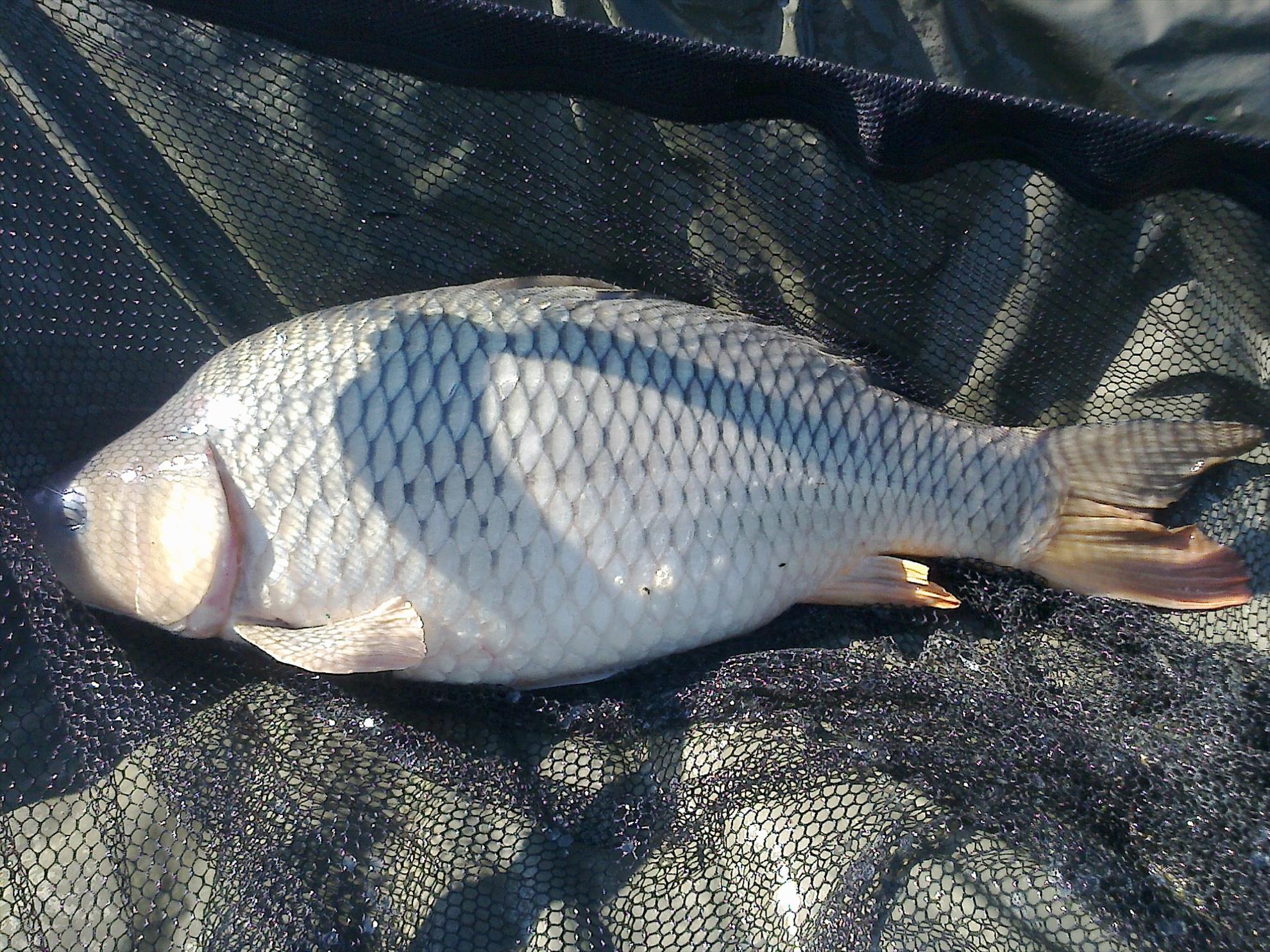 MV 2 - 25.SEPT.2014 - fotografie0002.jpg